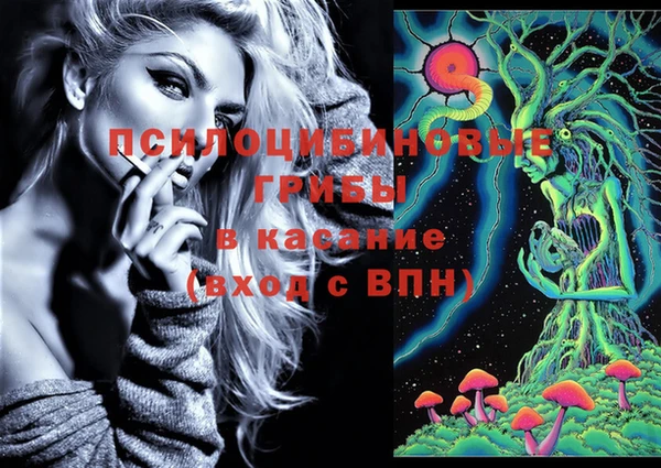 ешки Абаза