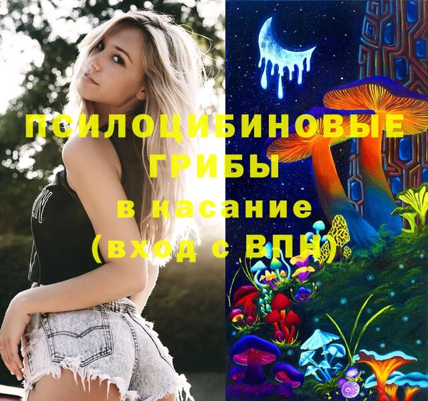 ешки Абаза